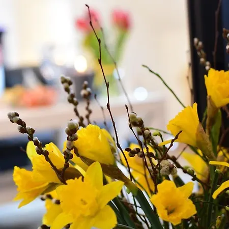 - Klosterforst Hotel Itzehoe